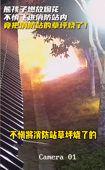 湖南消防被煙花“偷家” 直播熊孩子為光禿禿草坪種花
