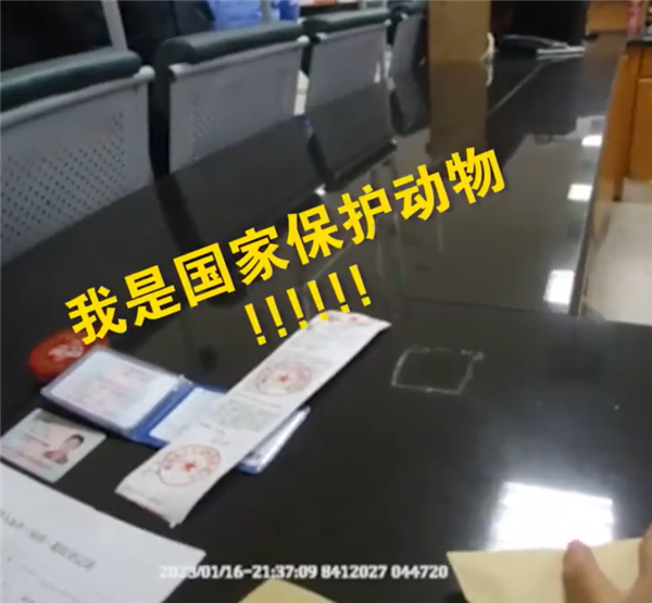 男子醉駕被查不服 辯稱：我是國家保護動物