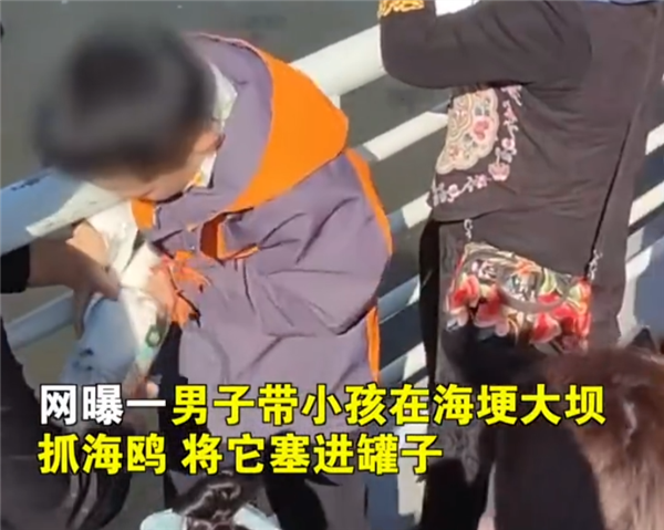 大媽為拍照景區(qū)抓住海鷗喂麻花：遭網(wǎng)友譴責不文明