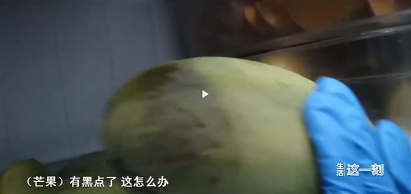 記者臥底網(wǎng)紅餐廳藍(lán)蛙曝光后廚亂象：過(guò)期蔬菜繼續(xù)用 有效期標(biāo)簽隨意換