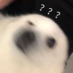 百度AI畫出的中國菜越看越瘆人：魚香肉絲都變異了