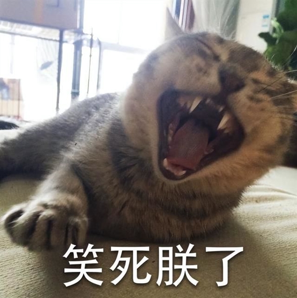 給全世界每個人發(fā)錢 OpenAI創(chuàng)始人這么飄了,？